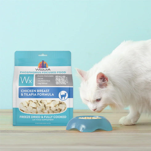 Weruza Wx Phos Focused Wet Cat Food - Chicken & Tilapia - 1oz Pouch
